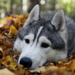 Wade Lumpkin - @wadelumpkin - Instagram