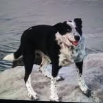 Wade Marks - @wademarks60 - Instagram