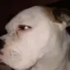Lola🫶 - @wademcbee1 - TikTok