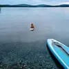 mcwadebee - @mcwadebee - TikTok