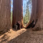 Wade McCarty - @wade_mccarty - Instagram