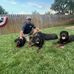 Wade McCarty - Facebook