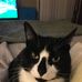 Jeanne Mckittrick - Facebook