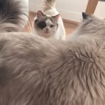 Wade Moriarty - @wade_im_a_door - Instagram
