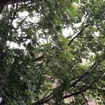 Holly Morse Wade - @wadehollymorse - Instagram