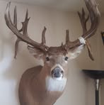 Wade Olson - Facebook