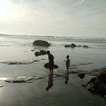 Wade Olson - @wadeolson8896 - Instagram