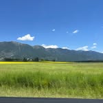 Wade Owens - @wade_owens09 - Instagram