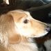 Wade Owens - Facebook