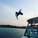 Wado - @wade_pearce - Instagram