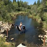 Wadepearson - @wade.pearson50 - Instagram