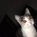 Wade Pennington - Facebook
