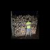 Wade Pennington - Facebook