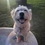 Wade Phares - @phares_wade - Instagram