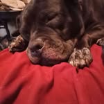 Melissa Wilson Wade Phelps - @aprilwilson0425 - Instagram
