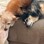 Anna Picklesimer Wyatt - Facebook