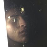 Wade Pierce - @wade_pi3rce - Instagram