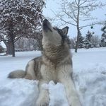 Wade Pierce - @piercewade71 - Instagram