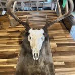 Wade Pilgrim - Facebook