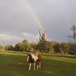 Wade Pluff - @pluffwade - Instagram