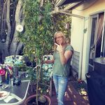 Jenny Wade Prescott - @tinctures420 - Instagram