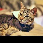 @wadeprescott - Instagram