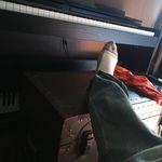 randall wade - @randallwade99 - Instagram