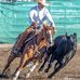 Wade Reaney Cow Horses - Facebook