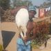 Rector Whati - Facebook