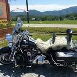 Wade Reed - @reedsnthewind43 - Instagram