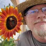 Wade reed - @wadereed - Instagram