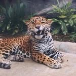 Wade Richards - @killahmannn - Instagram
