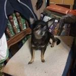 Wade Ricks - @wade.ricks.39 - Instagram