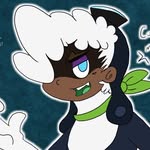 Rigby Wade - @captaingalaxycollie - Instagram