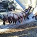 Wade Riley - Facebook