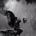 Wade Riley - Facebook
