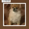 waderobbins752 - @waderobbins752 - TikTok