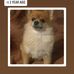 Wade Robbins - Facebook