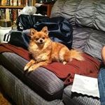 Wade Robbins - @robbins.wade - Instagram