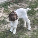 Wade Robinson - @wade.robinson.376 - Instagram