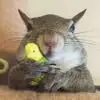 Wade Rome - @wade.rome3 - TikTok