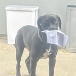 Wade root - @ar.wade - Instagram