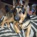 Roger Wade - Facebook