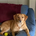Samson White - Facebook