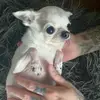 samsonwade69736 - @samsonwade69736 - TikTok