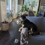 Wade Shaffer - @wadeshaffer13 - Instagram