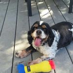 wade_shaw - @wadeshaw1977 - Instagram