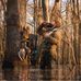 Wade Shoemaker - Facebook