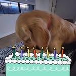 Wade Simon - @wadesimon59 - Instagram