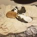 Wade Simpson - Facebook